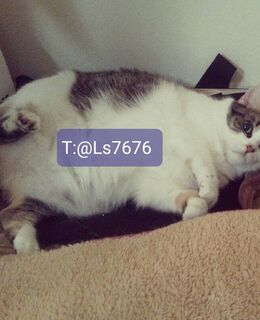 Антон — фото 2