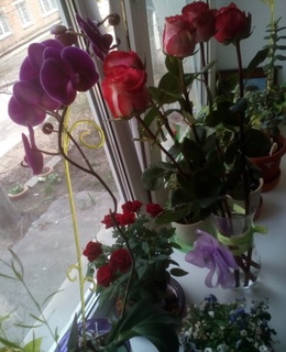 Ксения — фото 2