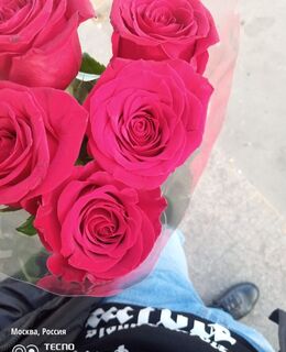 Нурик — фото 1